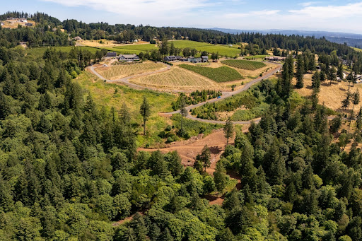 Luxury land for sale in Newberg (United States) - Aerial view vineyard and forest landscape