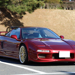 NSX NA1