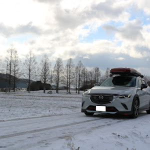 CX-3 DK5FW