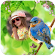 Birds Photo Frames icon