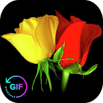 Flowers And Roses Animated Images Gif pictures 4K Apk