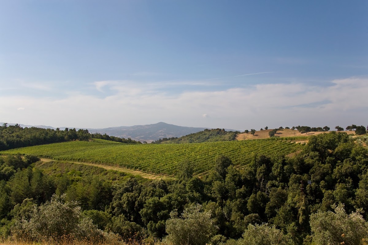 Strada del vino Montecucco, Cinigiano, Maremma toscana, met op de achtergrond enkele uitlopers van de Monte Amiata, Poggio all'Olmo, Monte Buceto, Monte Labbro