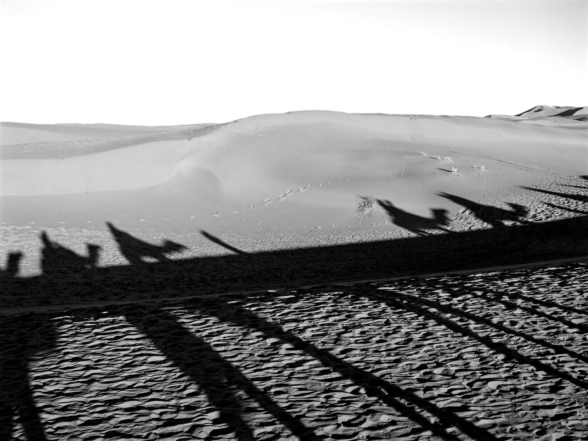 natural Sahara di Ale Brigante