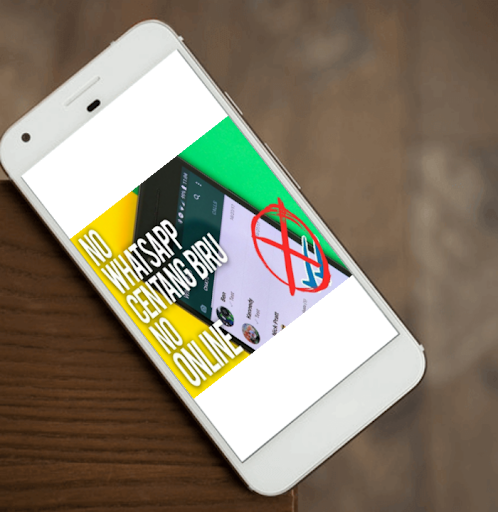 Cara WA Tidak Terlihat Online