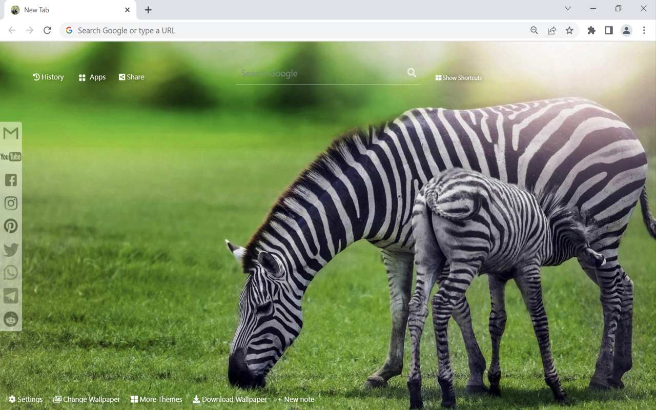 Zebra Wallpaper New Tab Preview image 3