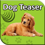 Cover Image of ดาวน์โหลด Dog Teaser 1.0 APK