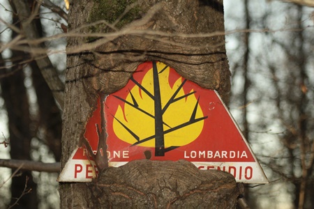 Potenza della natura di Gp