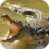 Crocodile Wallpapers icon