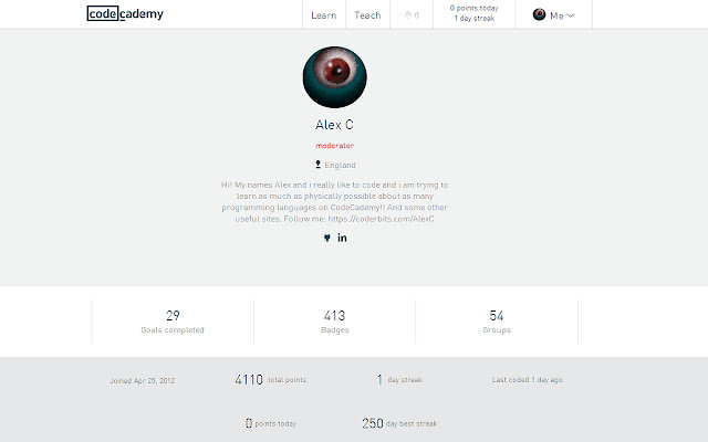 Codecademy Profile Update