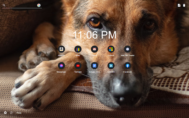 Dogs New Tab Page Wallpaper Theme
