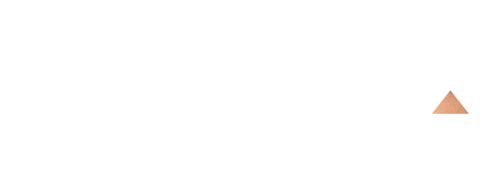 FITMIND ACADEMY LOGO