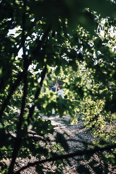 Fotograful de nuntă Sergey Trashakhov (sergeitrashakhov). Fotografia din 26 noiembrie 2018