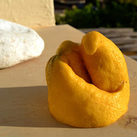 giallo limone ...surreale di 