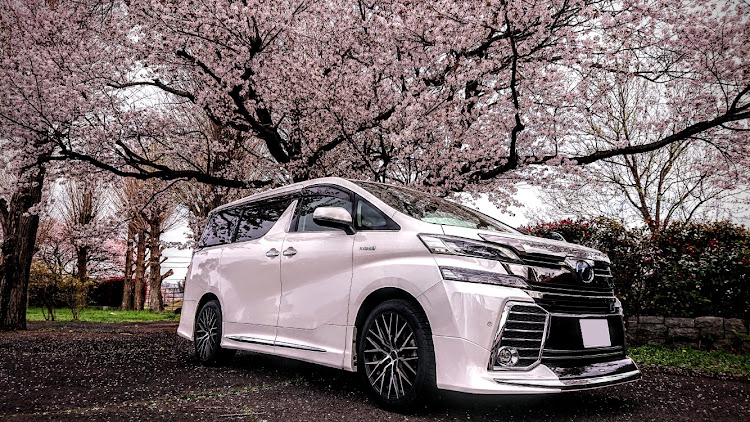 ヴェルファイアの桜と愛車・ピックアップされない車に関するカスタム事例の投稿画像1枚目