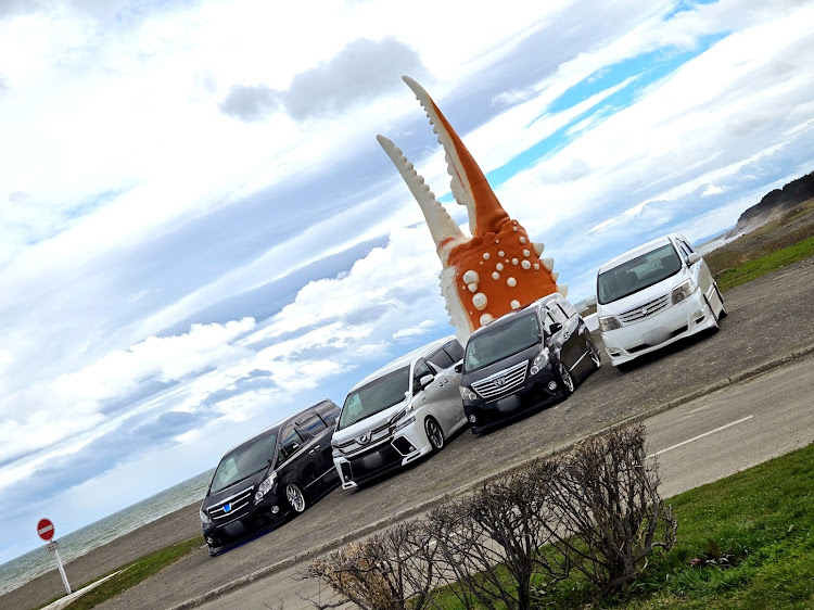 アルファードの北海道・AVKC・芝ざくら・カニの爪・消防団？に関するカスタム事例の投稿画像3枚目