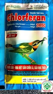 Thuốc Trừ Sâu Chlorferan 240Sc Chim Sâu - Vua Diệt Sâu Cuốn Lá, Sâu Đục Thân