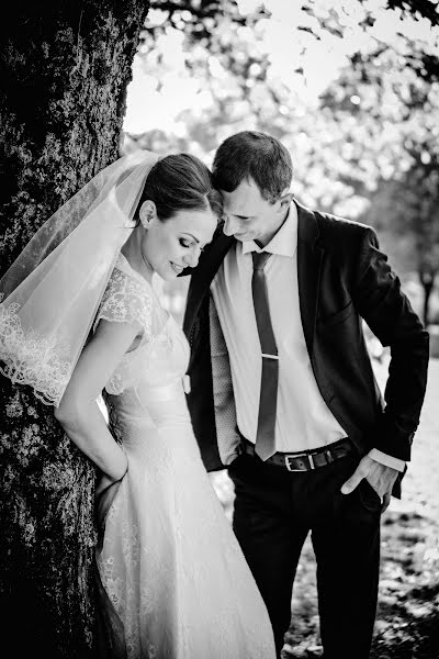 Wedding photographer Viktoriya Alieva (alieva). Photo of 15 August 2018