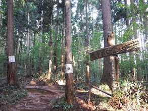 登山道に合流