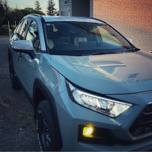 RAV4 MXAA54