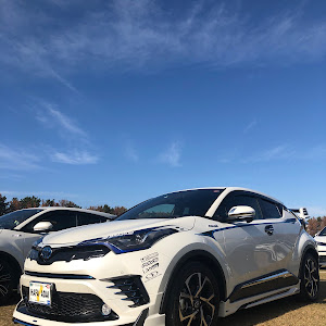 C-HR ZYX10