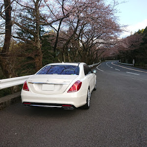 Sクラス S65