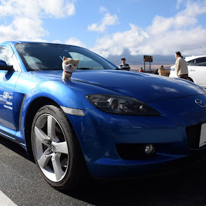 RX-8 SE3P