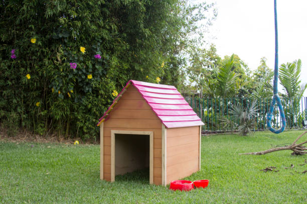 best dog house design