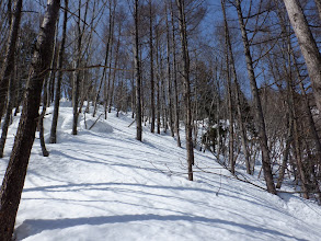 登りに