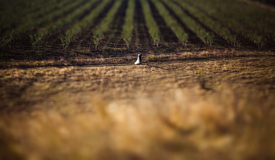 Fotografer pernikahan Andrey Cheban (andreycheban). Foto tanggal 15 Mei 2017