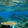 Underwater Ocean Wallpaper New Tab Theme