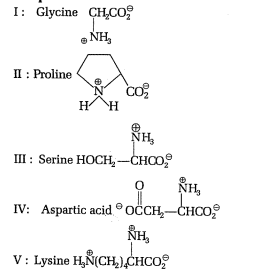 Amino Acids