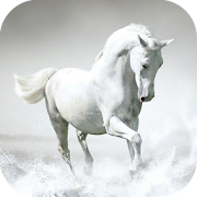 Horse Wallpaper  Icon