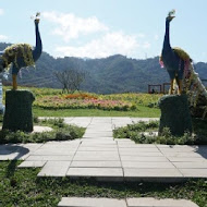 大溪花海農場