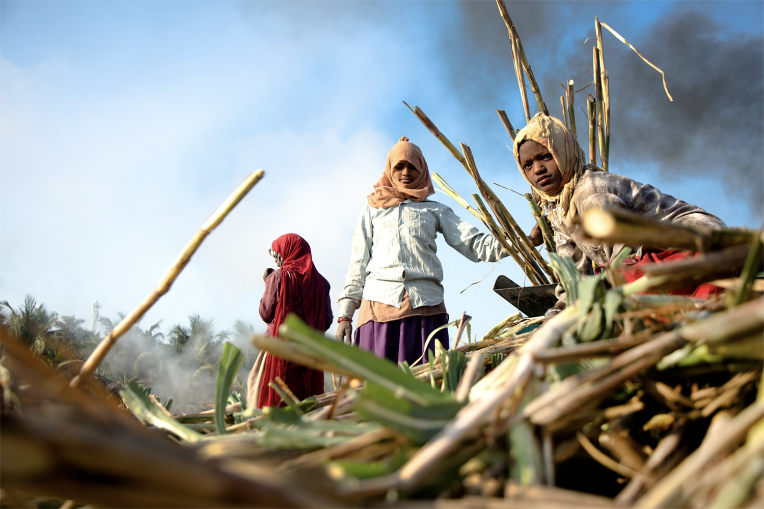 The curious case of recent government data on women’s labour-force participation