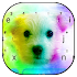 Cute Colorful Puppy Keyboard Theme1.0