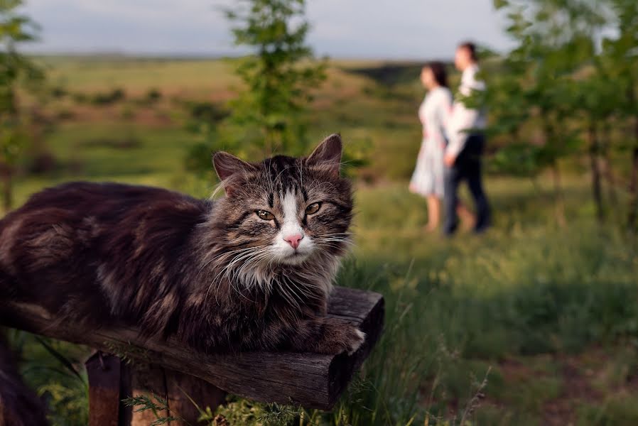 Photographe de mariage Sergey Uspenskiy (uspenskiy). Photo du 17 mai 2019