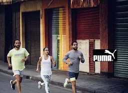 Puma in Haridwar cover pic