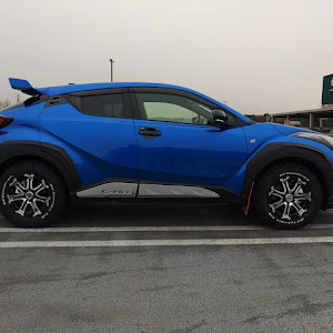 C-HR ZYX11