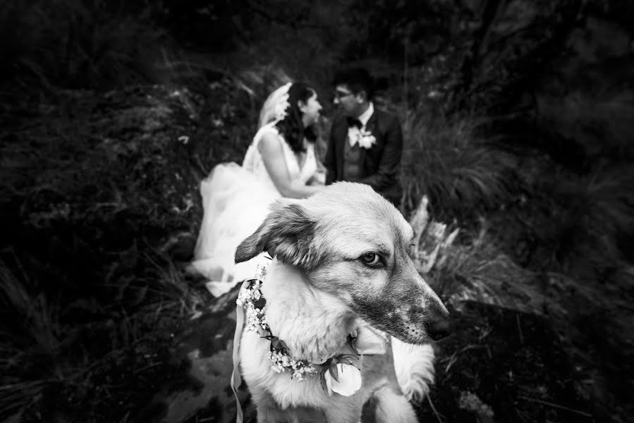 Photographe de mariage Pankkara Larrea (pklfotografia). Photo du 12 octobre 2021