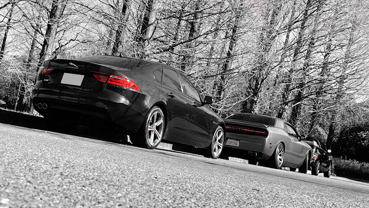 XFのJAGUAR XF・ソロショット・撮ってもらいましたシリーズ・赤だけ残る…・案の定に関するカスタム事例の投稿画像5枚目
