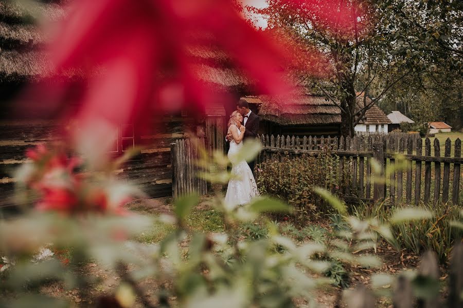 Wedding photographer Artur Owsiany (owsiany). Photo of 6 October 2021