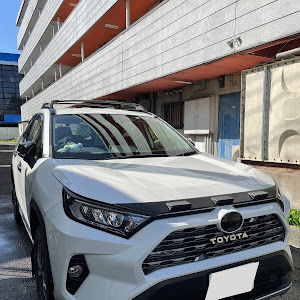 RAV4 MXAA54