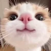 ユーザー