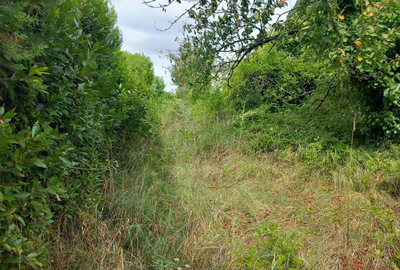  Vente Terrain à bâtir - à Bourgueil (37140) 