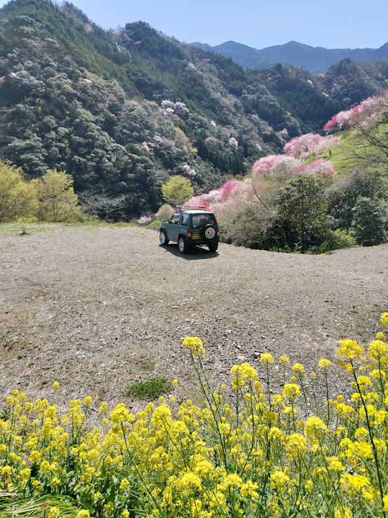 パジェロミニのパジェロミニのある生活・春を探して‥・花桃・引地橋の花桃・高知散歩に関するカスタム事例の投稿画像6枚目