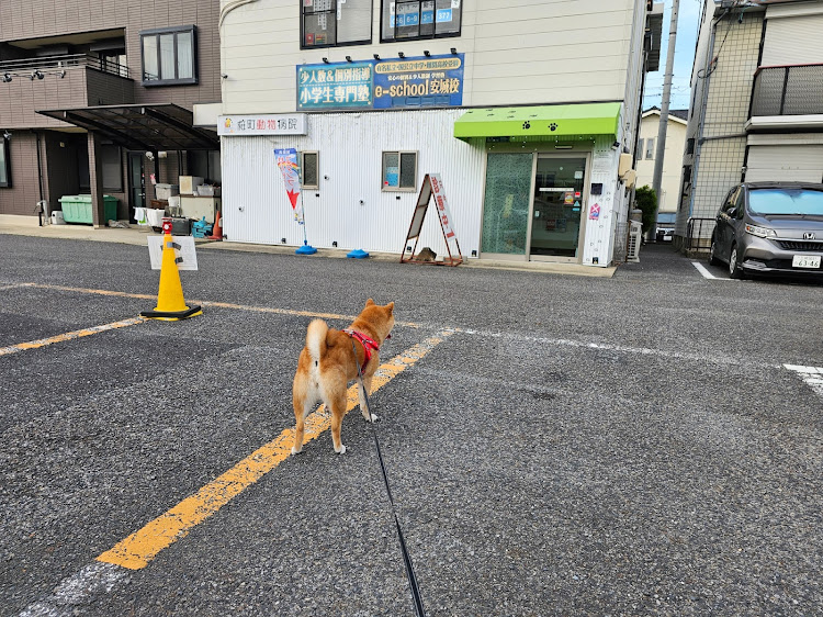 の投稿画像17枚目