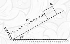 Free-Body Diagrams - FBD