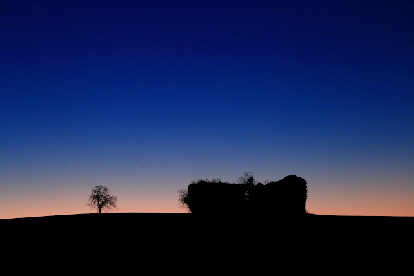 Silhouette  di Binko