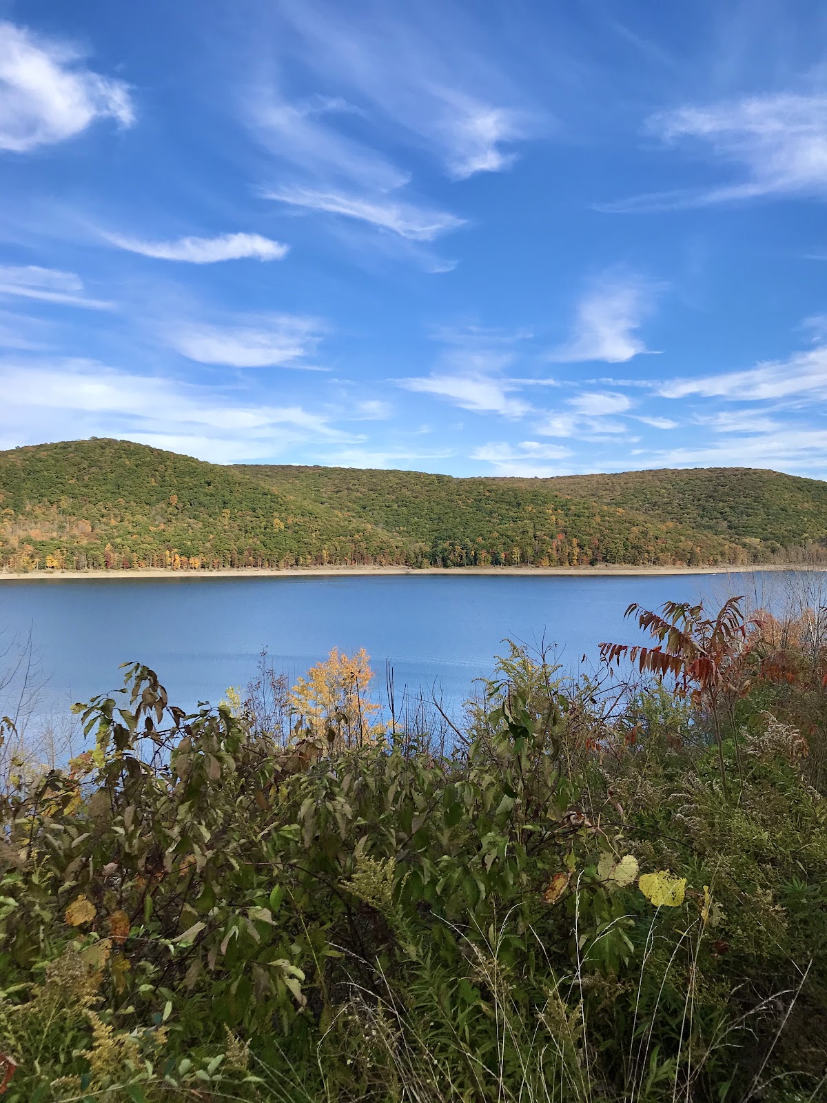 Kinzua Point