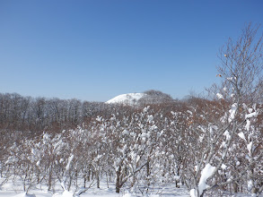 下谷山